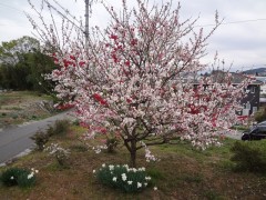 DSC00470