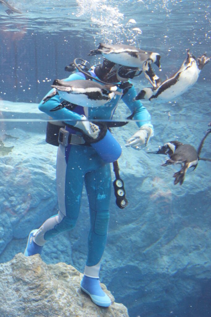 あけましておめでとうございます