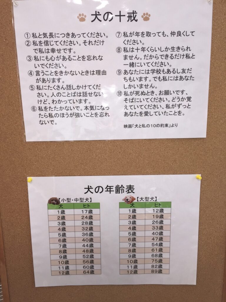 写真 2016-10-20 13 45 04