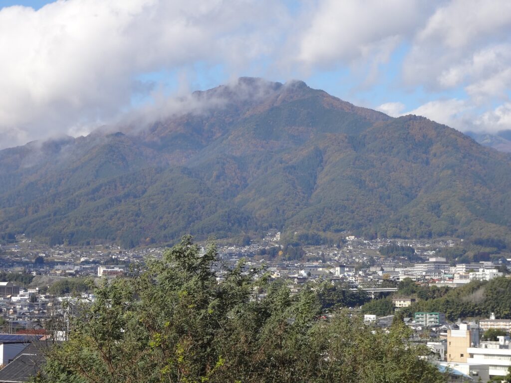 展示場からの風景その2