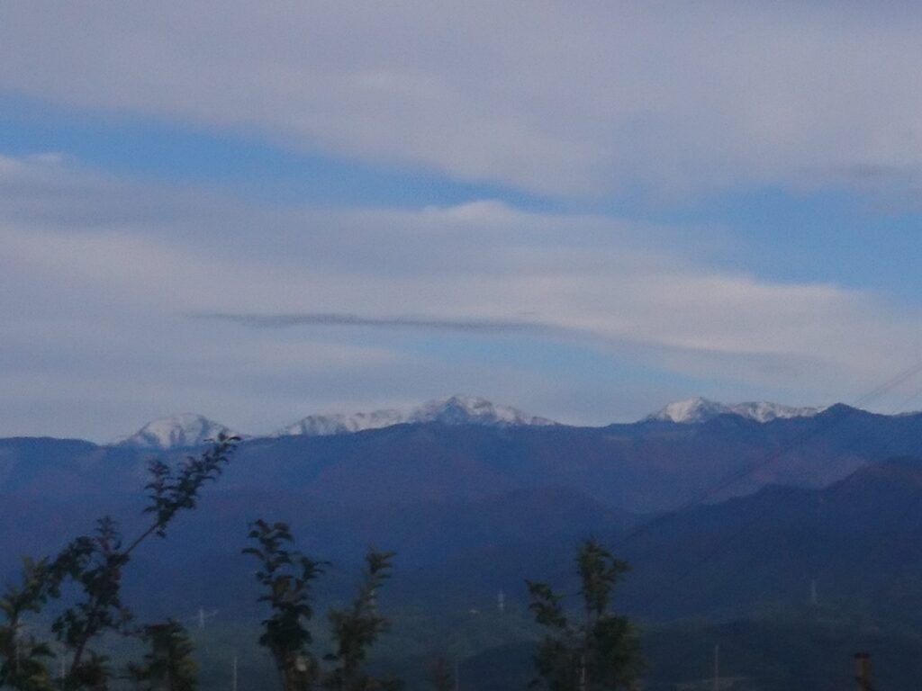 気が付けば・・・