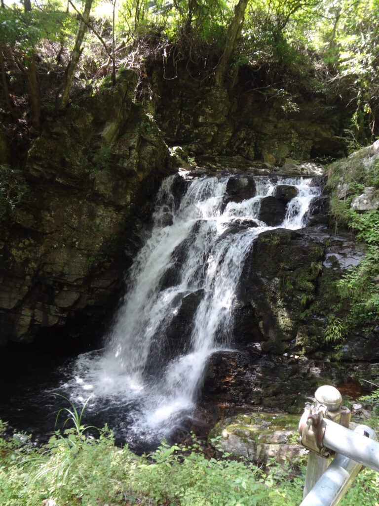 涼しさを求めて