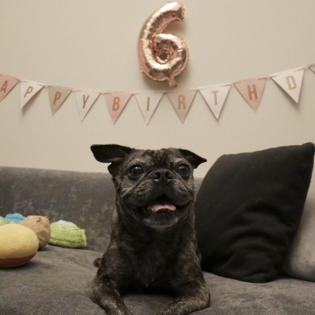 6歳になりました！