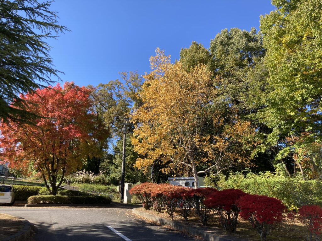 紅葉も楽しめます