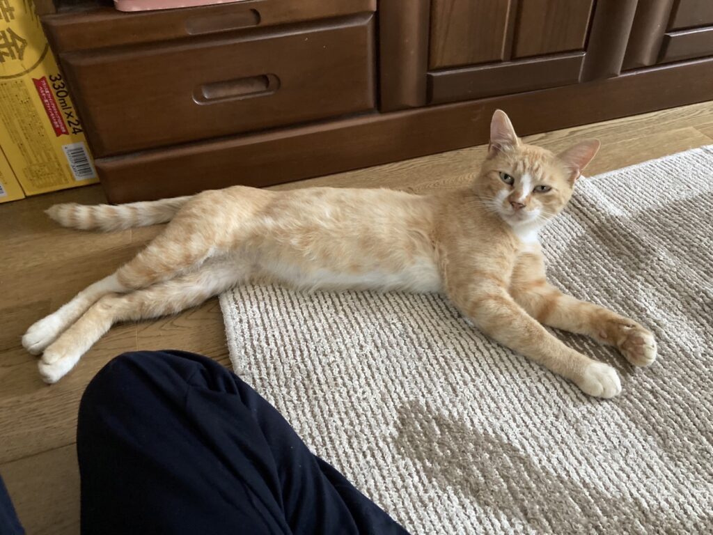 甘やかしすぎたかもしれません、、、