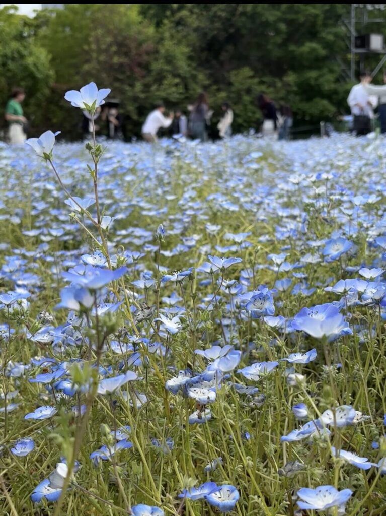 旅に出ました。