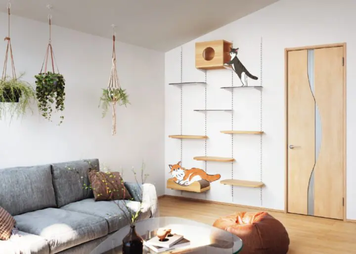 愛猫と快適に過ごす新商品紹介🐾