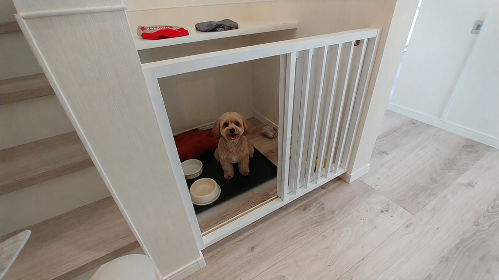 飯田市でつくるペットのための家🐶