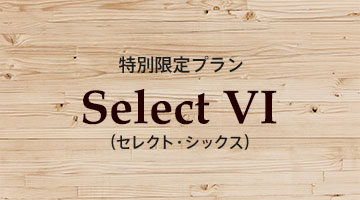 特別限定プラン Select VI