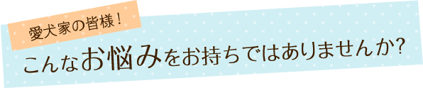 愛犬家の皆様！こんなお悩みをお持ちではありませんか？